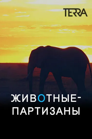 Животные-партизаны