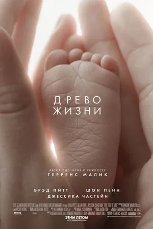 Древо жизни