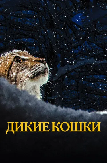 Дикие кошки