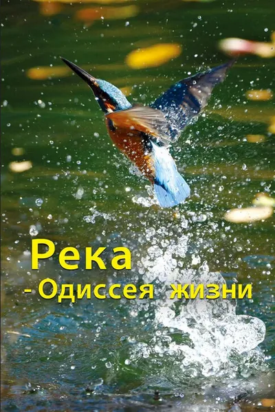 Река — Одиссея жизни