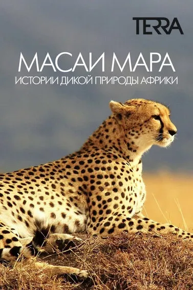 Масаи Мара. Истории дикой природы Африки
