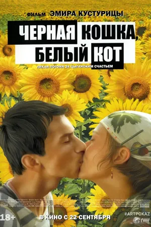 Чёрная кошка, белый кот