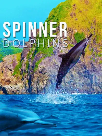 Длинноносые дельфины