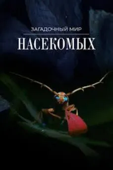 Загадочный мир насекомых