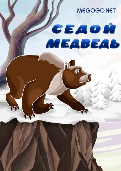 Седой медведь