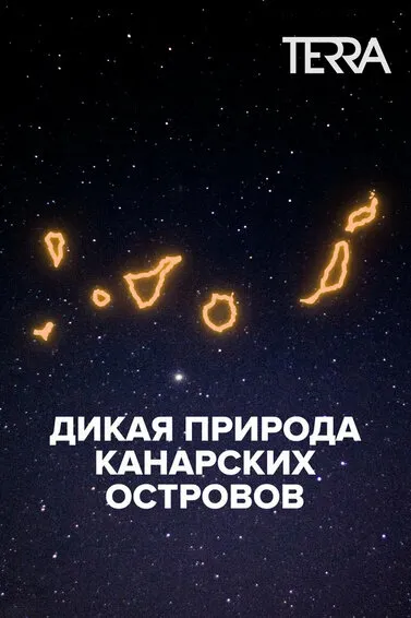 Дикая природа Канарских островов