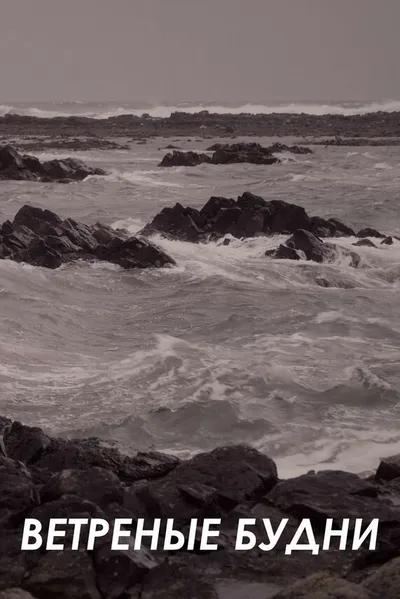 Ветреные будни